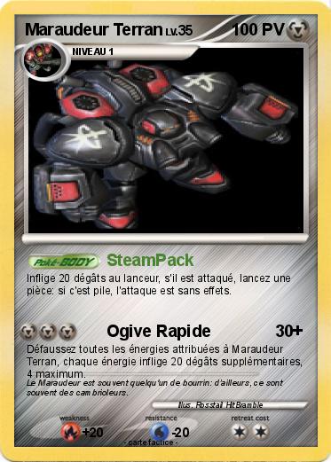 Pokemon Maraudeur Terran