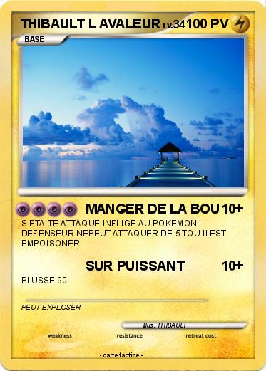 Pokemon THIBAULT L AVALEUR