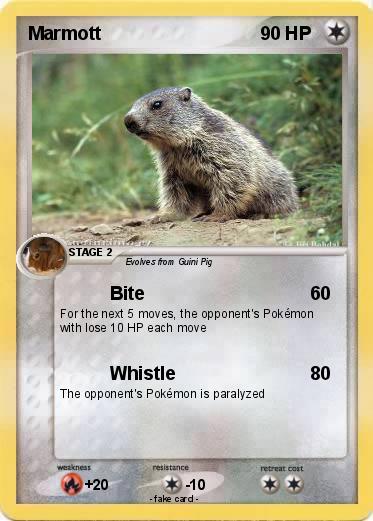 Pokemon Marmott