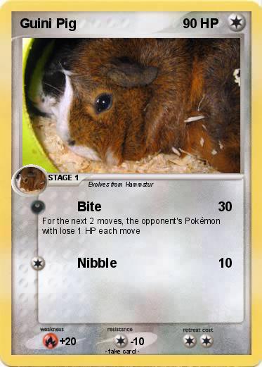 Pokemon Guini Pig