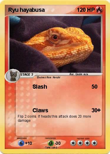 Pokemon Ryu hayabusa