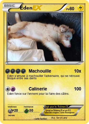 Pokemon Eden