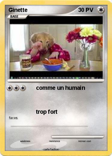 Pokemon Ginette