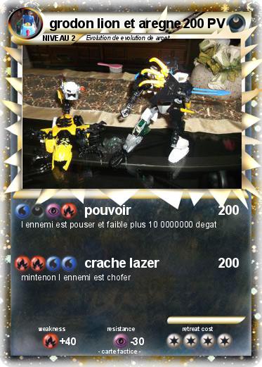 Pokemon grodon lion et aregne