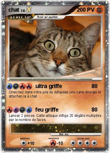 Pokemon chat
