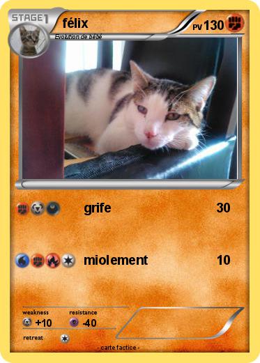Pokemon félix