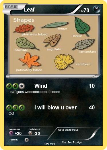 Pokemon Leaf
