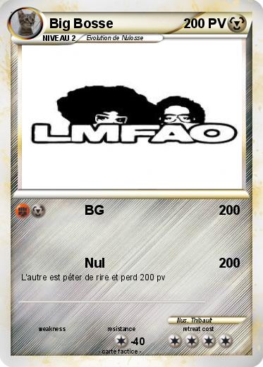 Pokemon Big Bosse