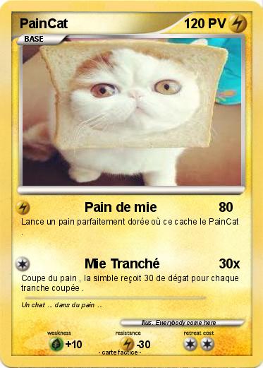 Pokemon PainCat