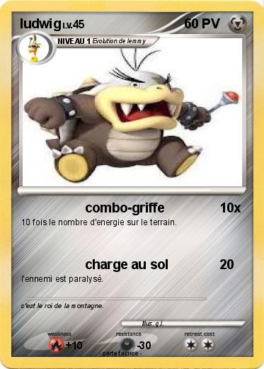 Pokemon ludwig