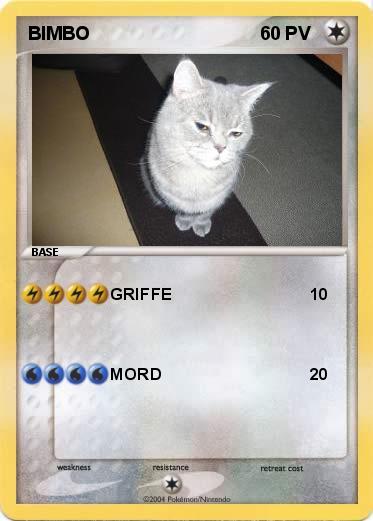 Pokemon BIMBO