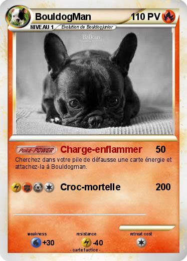 Pokemon BouldogMan