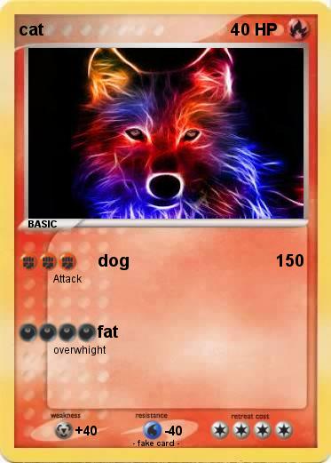 Pokemon cat