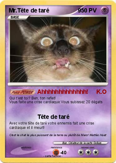 Pokemon Mr.Tête de taré                  9