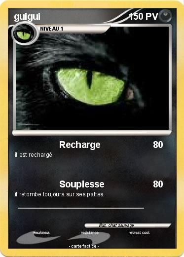 Pokemon guigui