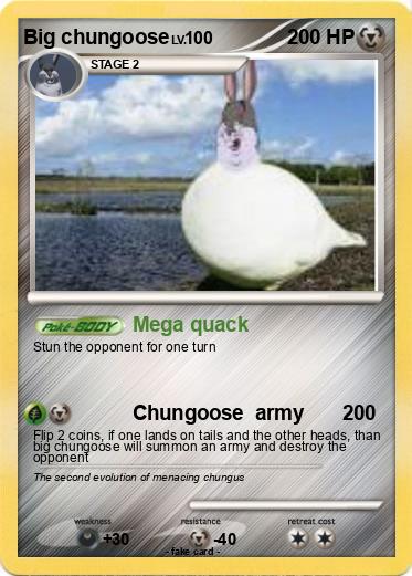 Pokemon Big chungoose