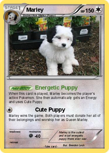 Pokemon Marley