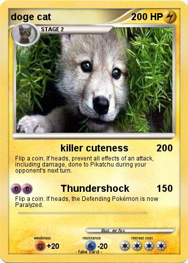 Pokemon doge cat