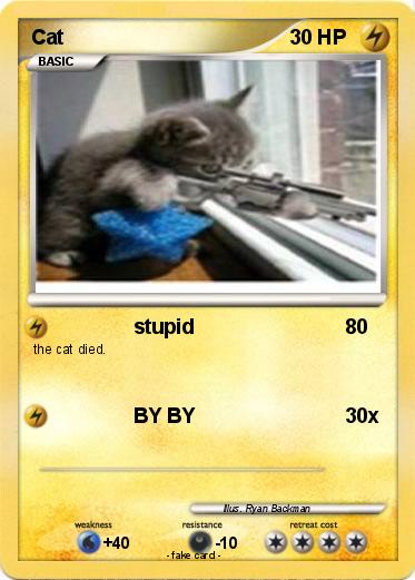 Pokemon Cat