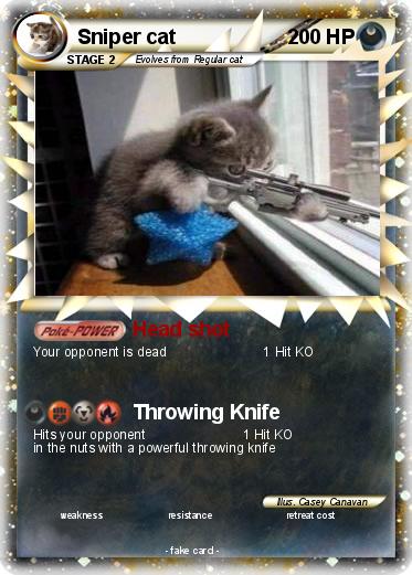 Pokemon Sniper cat