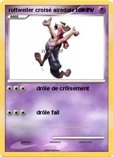 Pokemon rottweiler croisé airedale terrier
