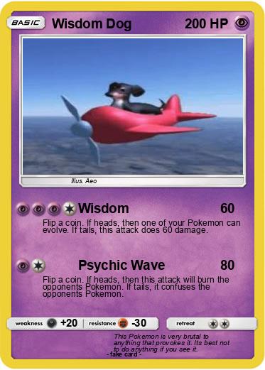 Pokemon Wisdom Dog