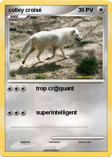 Pokemon colley croisé