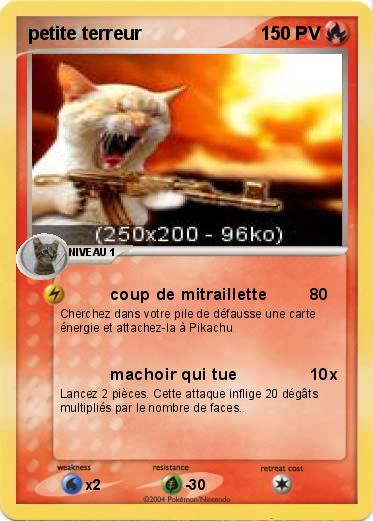 Pokemon petite terreur