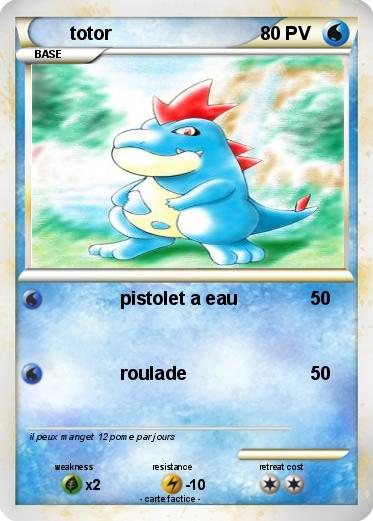 Pokemon totor