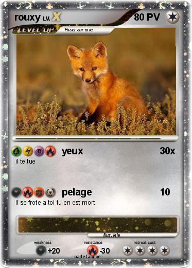 Pokemon rouxy