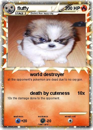Pokemon fluffy
