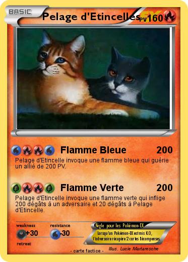 Pokemon Pelage d'Etincelles