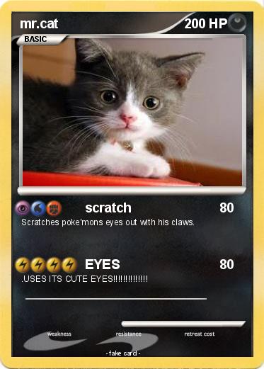 Pokemon mr.cat