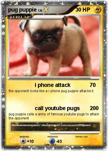 Pokemon pug puppie
