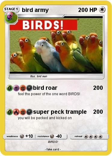 Pokemon bird army