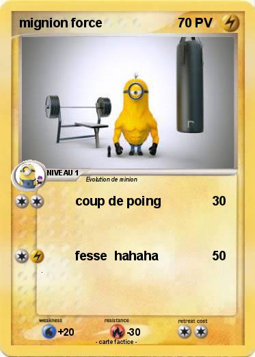 Pokemon mignion force
