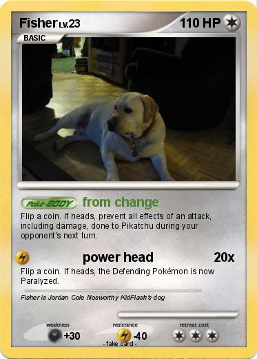 Pokemon Fisher