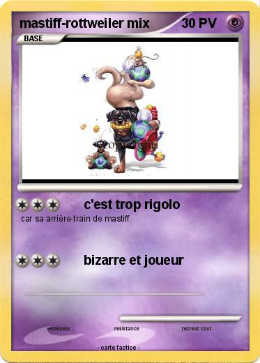 Pokemon mastiff-rottweiler mix