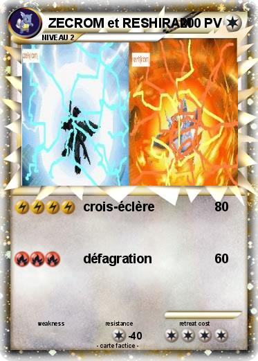 Pokemon ZECROM et RESHIRAM