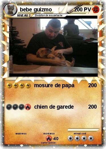 Pokemon bebe guizmo