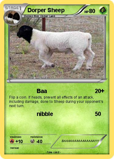 Pokemon Dorper Sheep