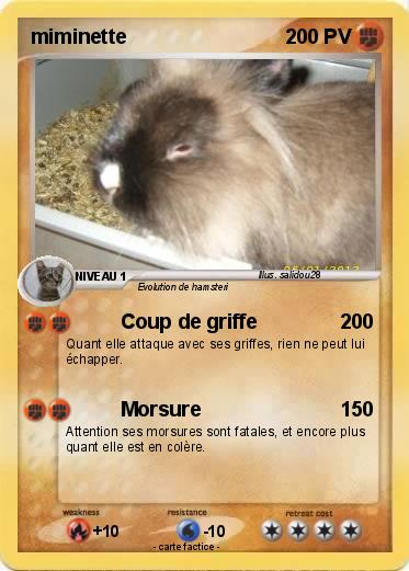 Pokemon miminette