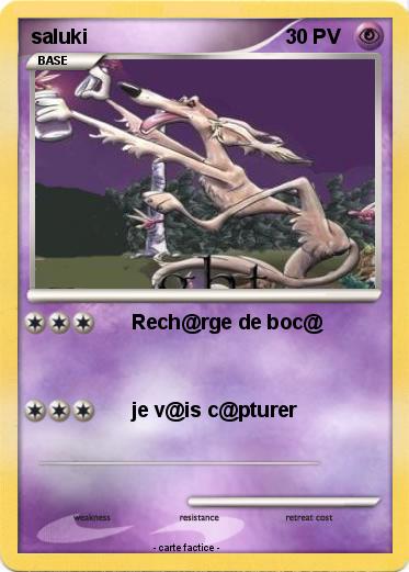 Pokemon saluki