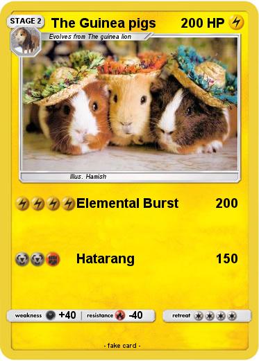 Pokemon The Guinea pigs