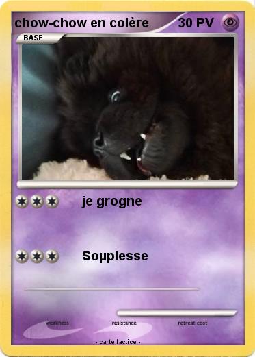 Pokemon chow-chow en colère