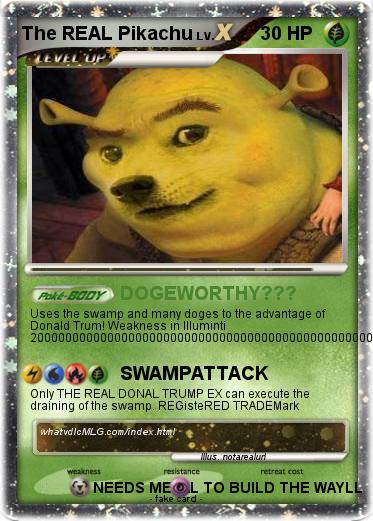 Pokemon The REAL Pikachu