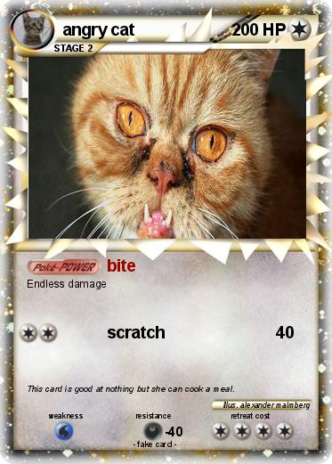 Pokemon angry cat