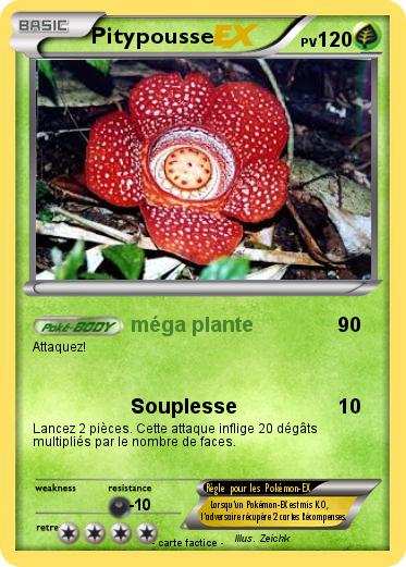 Pokemon Pitypousse