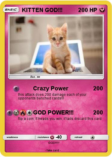 Pokemon KITTEN GOD!!!