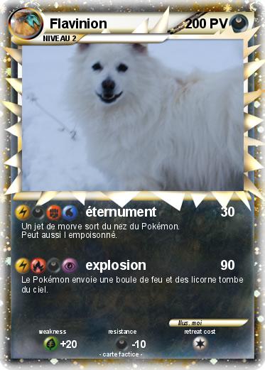 Pokemon Flavinion